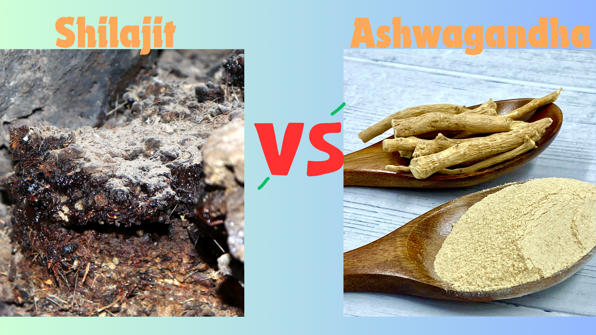 shilajit vs ashwagandha
